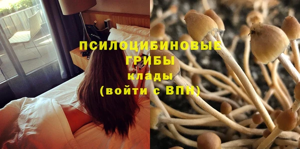 каннабис Алексеевка
