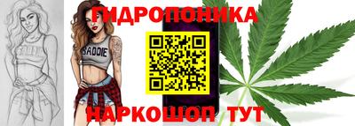 дживик Славгород