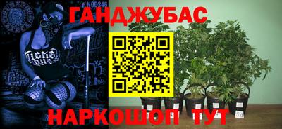 дживик Славгород