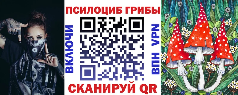 продажа наркотиков  shop какой сайт  Галлюциногенные грибы Psilocybine cubensis  Салават 