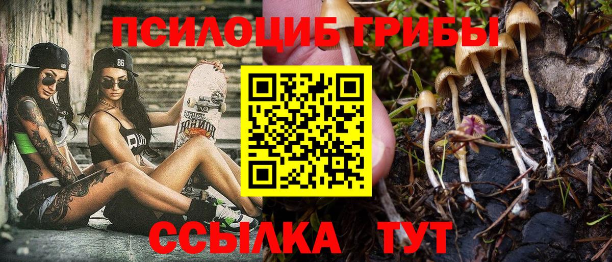 Псилоцибиновые грибы мицелий  Псилоцибиновые грибы прущие грибы  Вход с VPN  Салават 